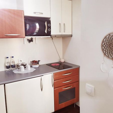 Nice & Economic Studio Baia Mare Buitenkant foto