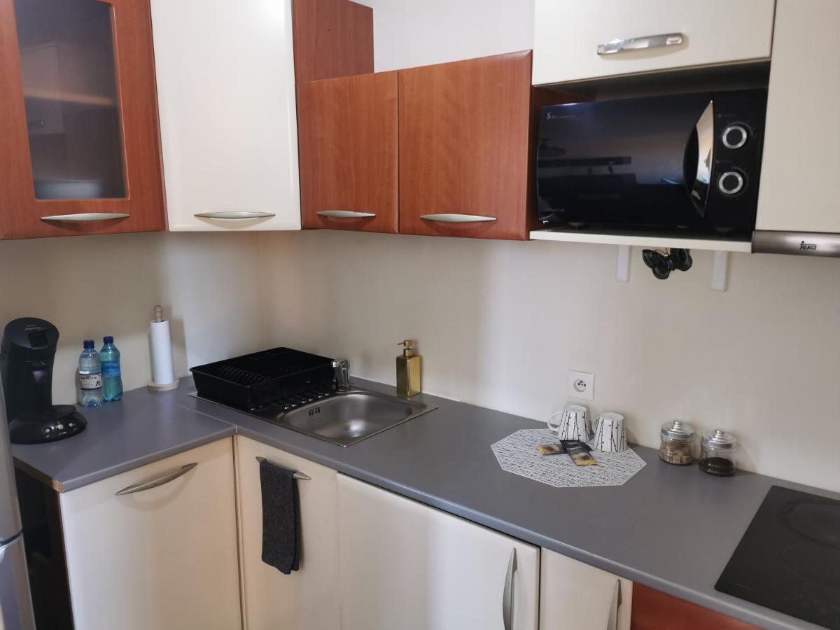 Nice & Economic Studio Baia Mare Buitenkant foto